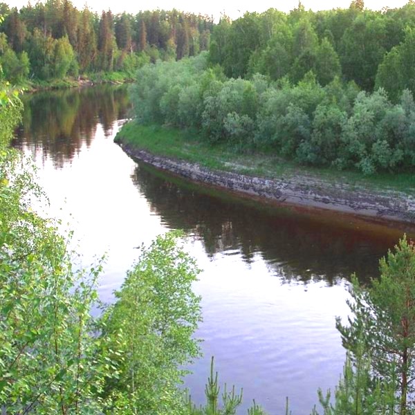 Природа заповедника