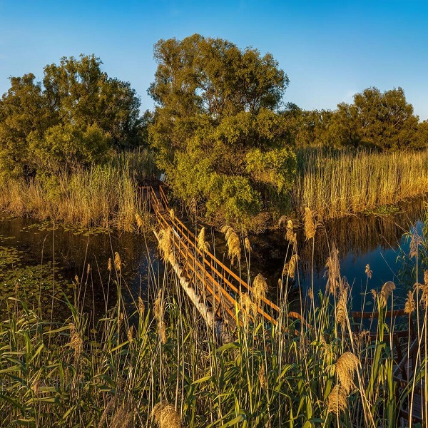 Квест по заповеднику