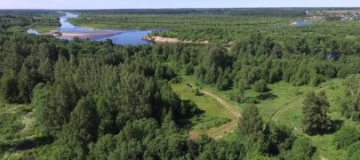 Заповедник «Кологривский лес»: где находится, как добраться и что посмотреть