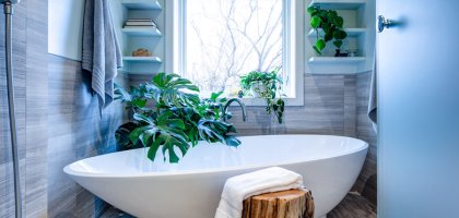 Какие комнатные растения подойдут для ванной