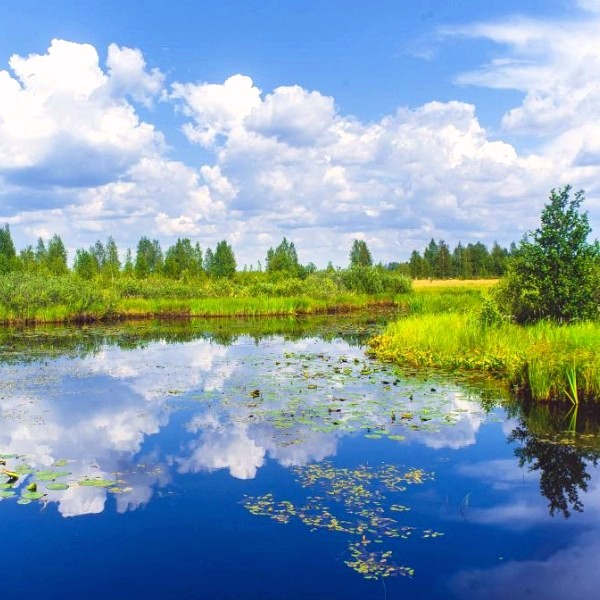Полистовский заповедник