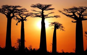 ТОП-10 самых красивых мест в Африке, которые стоит увидеть своими глазами