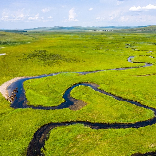 Даурский заповедник