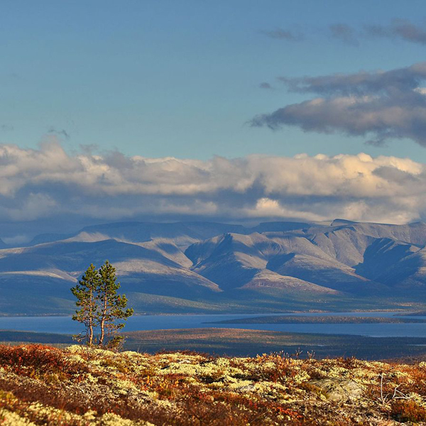 Лапландский заповедник
