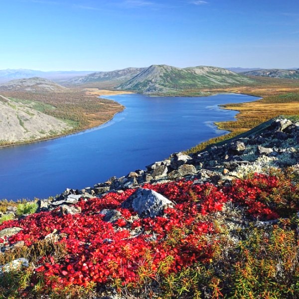 Магаданский заповедник