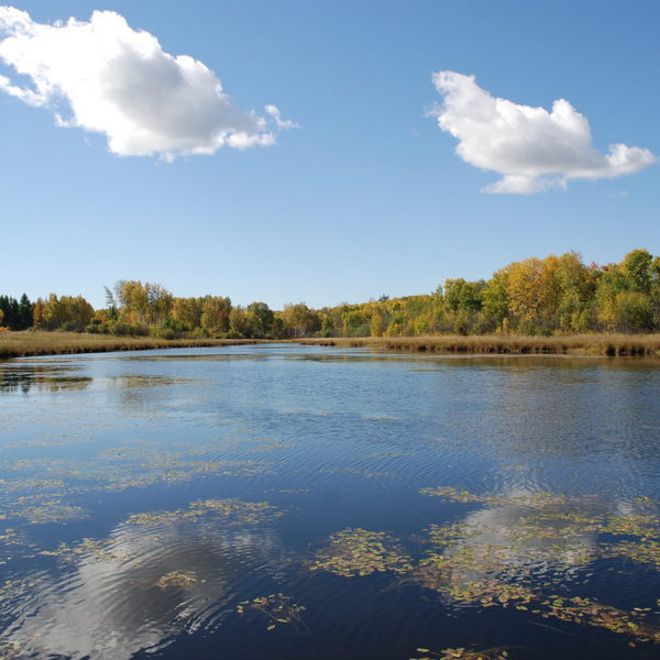 Норский заповедник
