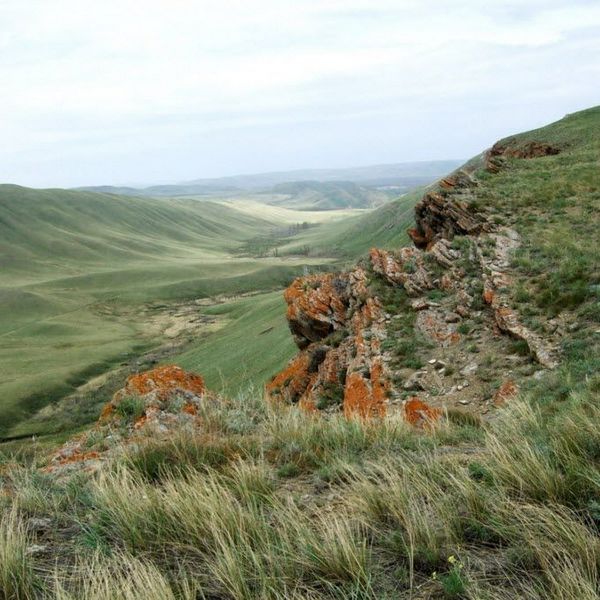 Оренбургский заповедник