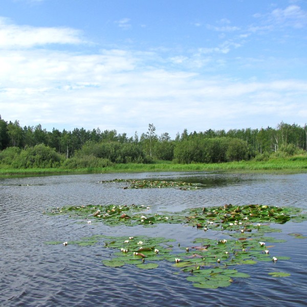 Природа Дарвинского заповедника