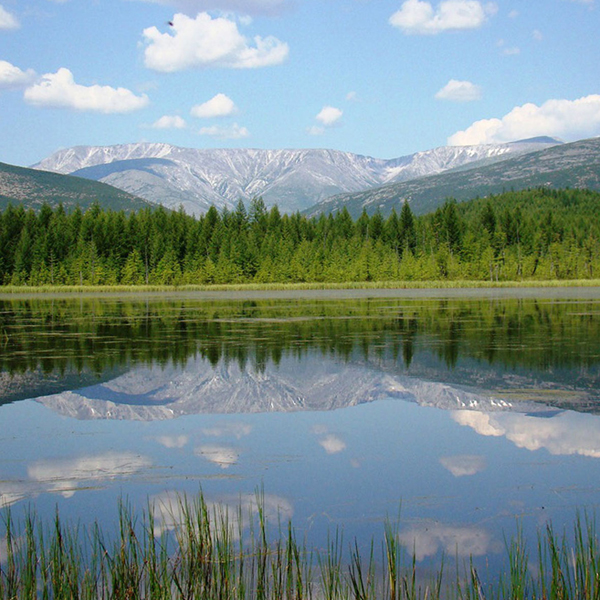 Флора заповедника