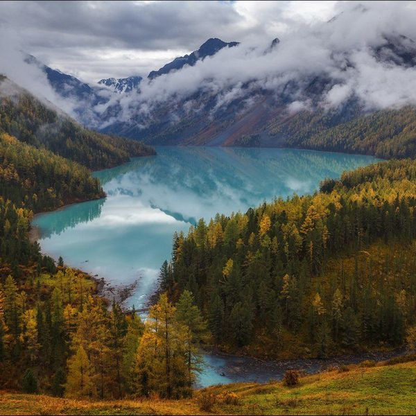 Кучерлинское