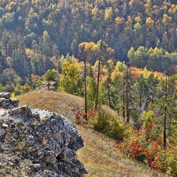 Панорамы заказника