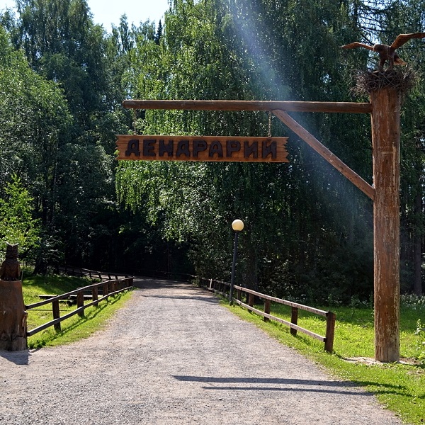 Дендрарий
