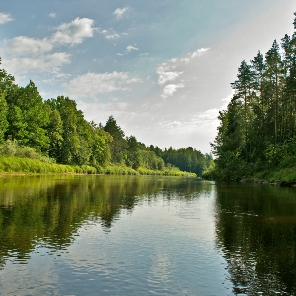 Река Керженец