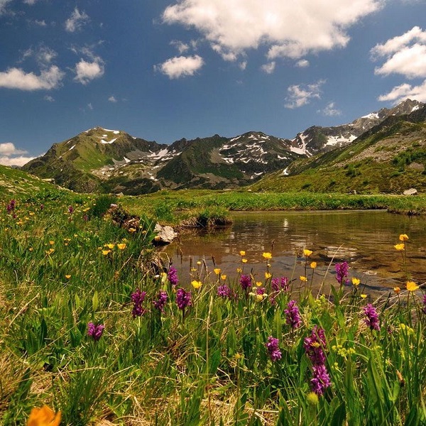 Село Медовеевка