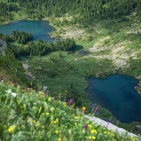 Каракольские