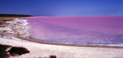 Озеро Торренс, Австралия: как добраться, чем интересно туристу