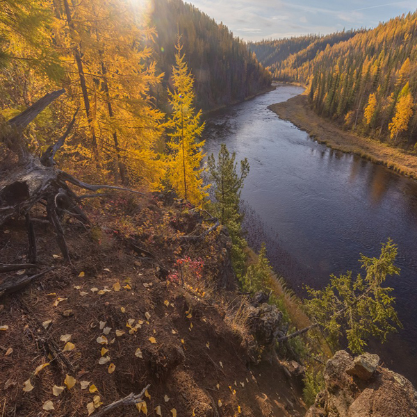 Заповедник осенью