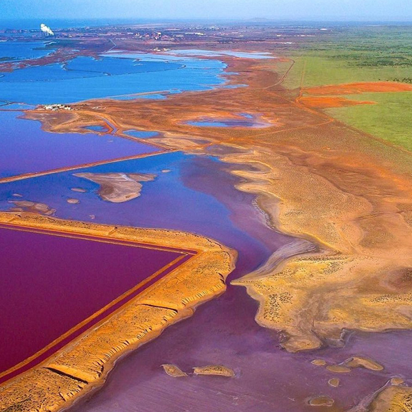 Красочный водоем