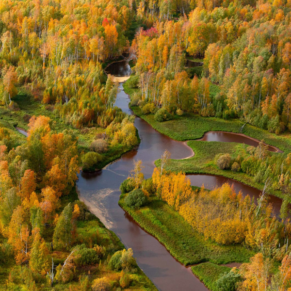Природа заповедника