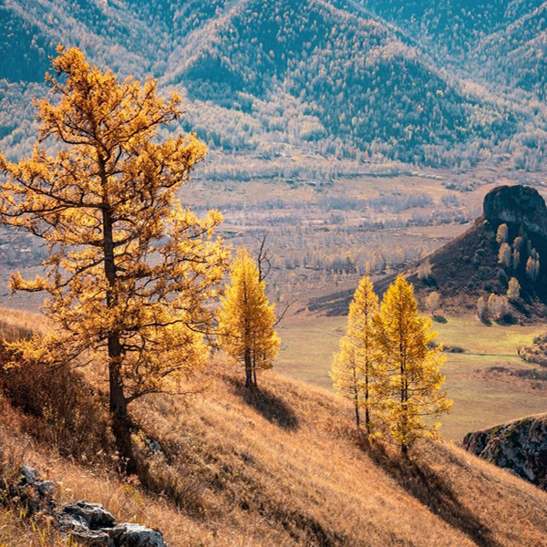 Заповедник осенью