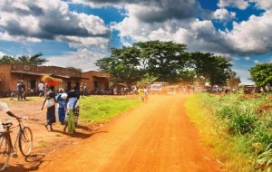 Что посмотреть в Уганде: главные достопримечательности страны