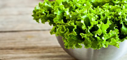 Как и когда сажать семена салата в открытый грунт: советы с видео