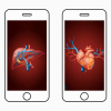 «Я вылечил рак с помощью смартфона»: как иллюзии мешают здоровью