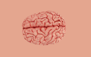 Первые признаки старения мозга: как их распознать?