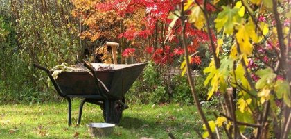 Ноябрь садовода: самые важные осенние дела на даче