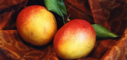 Малоизвестные и интересные факты о манго, о которых стоит знать