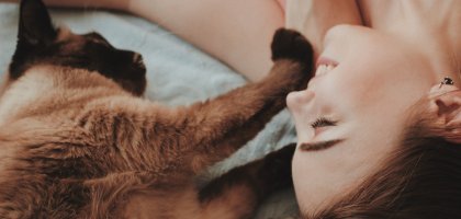 Почему кошки мнут лапами человека