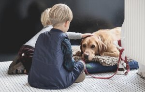 Лучшие породы собак для семей с детьми