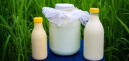 Как и сколько хранить молоко и кисломолочные продукты