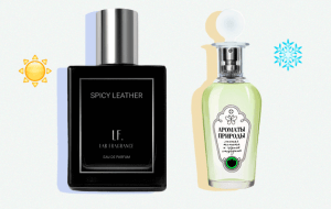 Чем отличаются летние ароматы от зимних, если разбирать их по парфюмерным нотам?