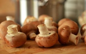 Как правильно хранить сушеные грибы