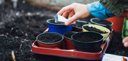 Февраль садовода: важные дачно-огородные дела, которые лучше не откладывать