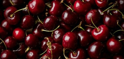 Чем подкормить вишню весной для хорошего урожая