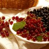 Чем подкормить смородину весной для хорошего урожая