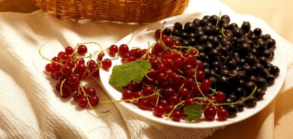 Чем подкормить смородину весной для хорошего урожая