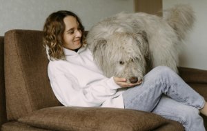 Необычные породы собак, о которых вы вряд ли знали