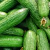 Чем подкормить огурцы для богатого урожая
