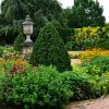 Неприхотливые декоративные кустарники для создания красивого сада