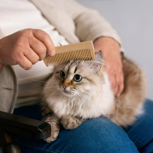 уход за кошкой с длинной шерстью