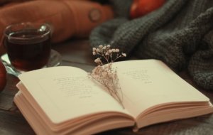 Как использовать дневник эмоций для самопознания?