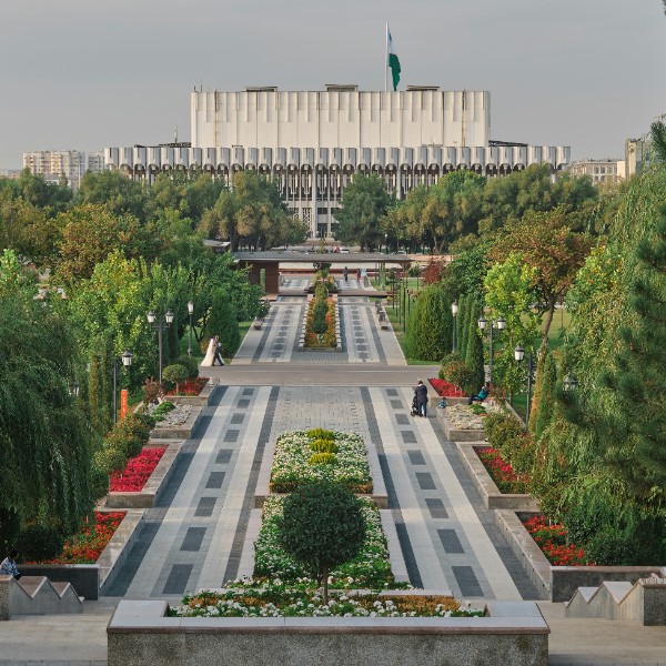 Пересадка в Ташкенте