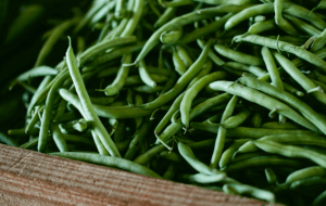Польза стручковой фасоли и возможный вред для здоровья человека