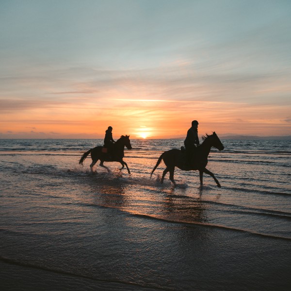 Разные интересы