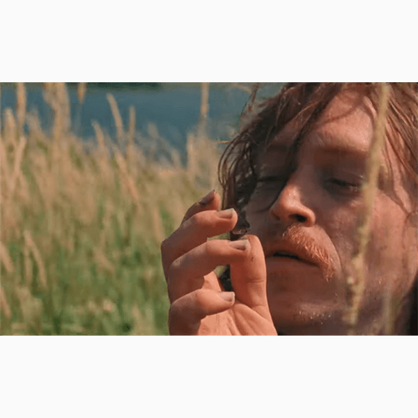 Что смотреть в кино на этой неделе: «Эддингтон», «Глазами пса», «Лермонтов»