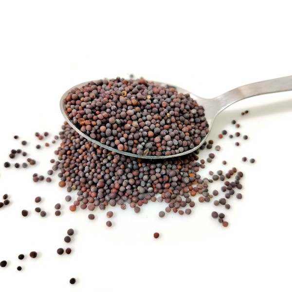 Горчица: польза и вред продукта, виды горчицы