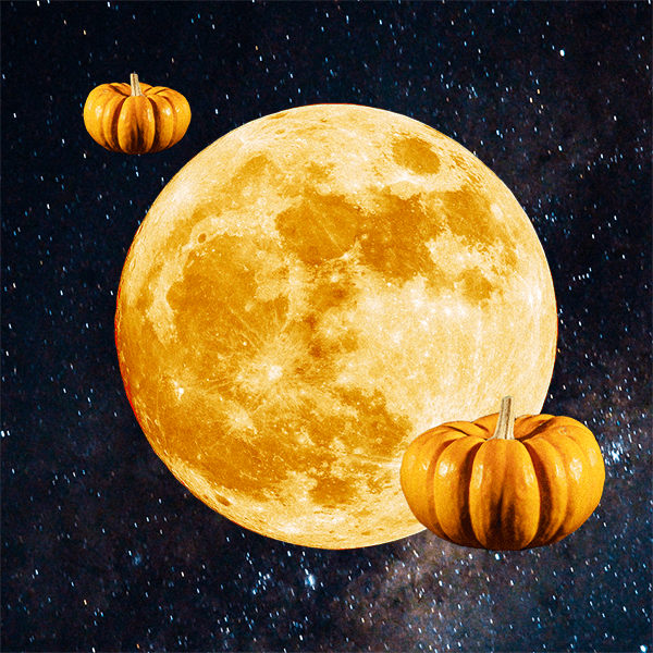 Лунный гороскоп на ноябрь 2025 года